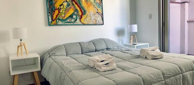 3 Dormitorios Decorado Con Gusto Y Equipado Para Alquiler Departamento Picasso En Ciudad De Mendoza Mendoza Argentina