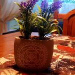 Alquiler Departamento 1783 Salta Family