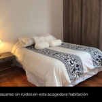 Alquiler Departamento Peatonal Exclusivo