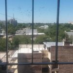 Alquiler Departamento Primitivo De La Reta 923