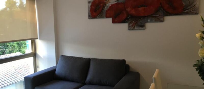 Brinda Opciones De Restaurantes Y Pubs Para Explorar Alquiler Departamento Boulogne Design Suites