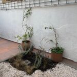 Casa Las Rosas En La Mejor Zona De Alquiler Casa Las Rosas En Ciudad De Mendoza Mendoza Argentina