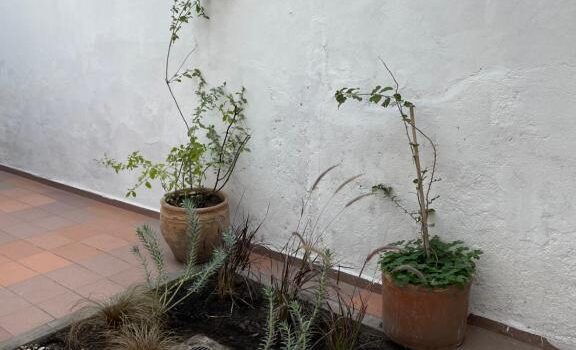 Casa Las Rosas En La Mejor Zona De Alquiler Casa Las Rosas En Ciudad De Mendoza Mendoza Argentina