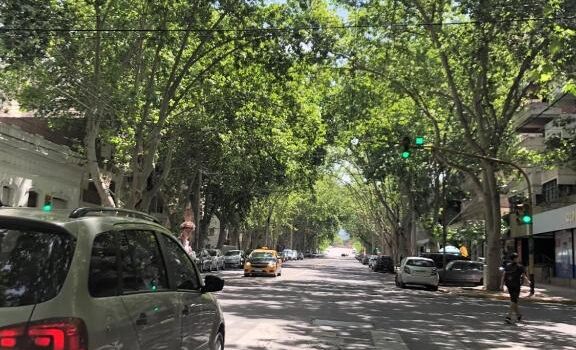 Centrico Completamente Equipado Estilo Contemporaneo Atencion Personalizada Estacionamiento Alquiler Departamento 1720