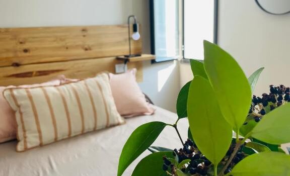 Champagnat Una Casa Completamente Reciclada Con Espacios Comodos Alquiler Casa Champagnat En Ciudad De Mendoza Mendoza Argentina