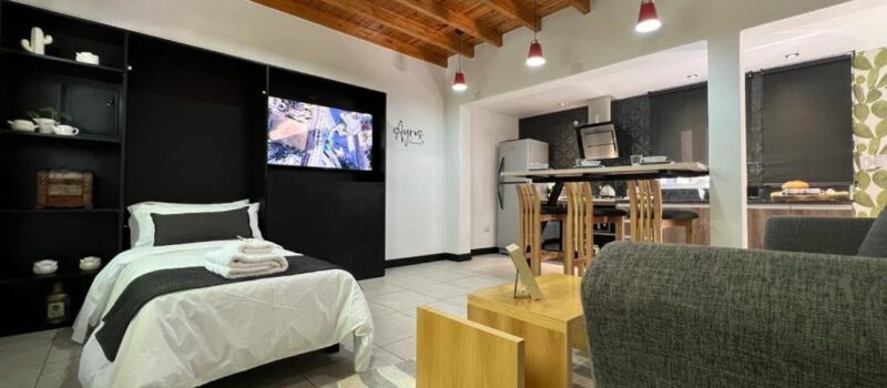 De Ohiggings Park La Proximidad A Puntos De Alquiler Departamento Ayres Home En Ciudad De Mendoza Mendoza Argentina