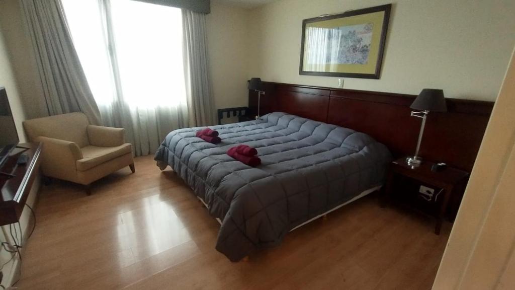 Del Centro De Convenciones Emilio Civit A Poca Alquiler Departamento Plaza Italia Executive En Ciudad De Mendoza Mendoza Argentina