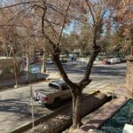 Descubre La Magia De Mendoza Desde La Comodidad Alquiler Departamento Mza Edificio Antiguo En Ciudad De Mendoza Mendoza Argentina