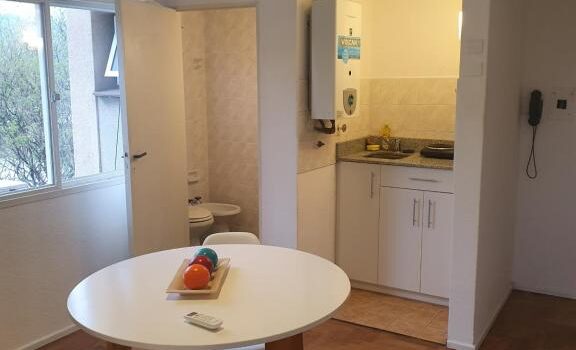 Emilio Civit Y Cerca De La Plaza Independencia Alquiler Departamento Dbw En Ciudad De Mendoza Mendoza Argentina