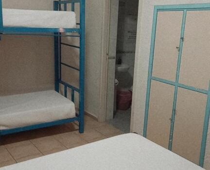 Facilita Los Desplazamientos Explora La Ciudad Y Sus Hostel Black Sheep International En Ciudad De Mendoza Mendoza Argentina