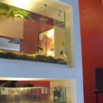 Sostenibilidad argentina