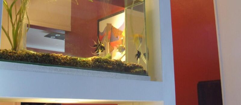 La Sostenibilidad Hotel Bohemia En Ciudad De Mendoza Mendoza Argentina