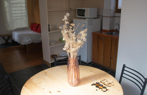 Mendoza Alquiler Andes Home 2