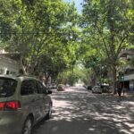 Pelo disfruta libertad espacio departamento
