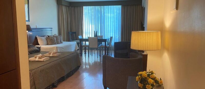 Piscina Parking Privado Wifi Gratis Cocina Totalmente Equipada Alquiler Departamento Espectacular En Ciudad De Mendoza Mendoza Argentina