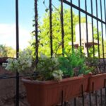 Sumergete esencia desde departamento argentina