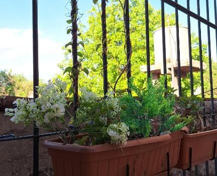 Sumergete En La Esencia De Mendoza Desde La Alquiler Departamento 1936 Federico Moreno En Ciudad De Mendoza Mendoza Argentina