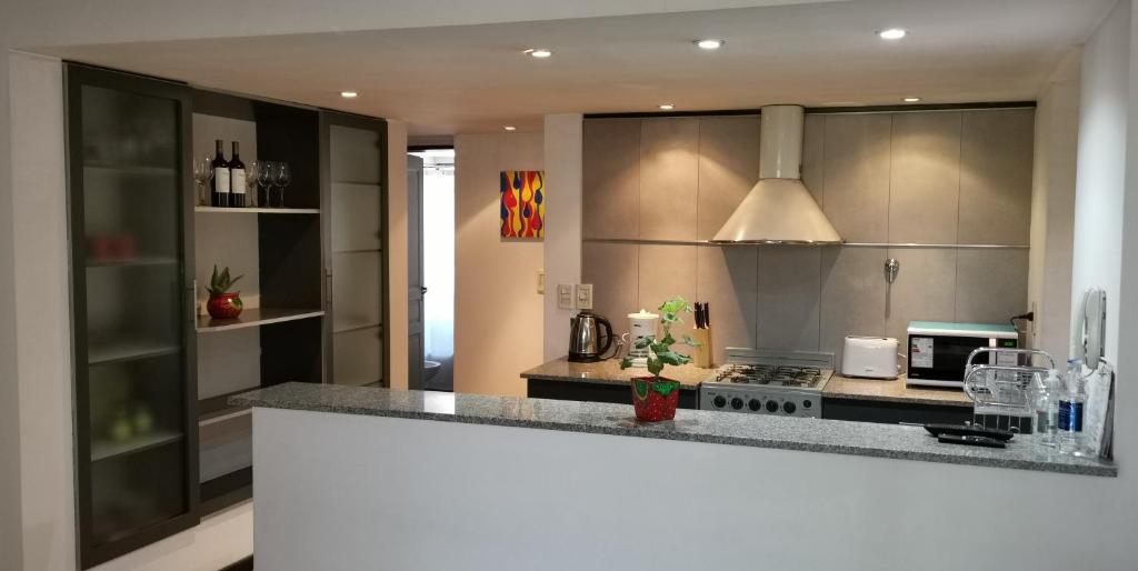 Totalmente Equipada Ambiente Tranquilo Y Residencial Alquiler Departamento Belgrano En Ciudad De Mendoza Mendoza Argentina
