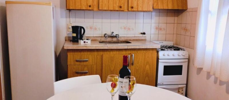 Vino Y La Montana Reserva Ahora Y Sumergete Alquiler Departamento Uruguay 90 Pb En Ciudad De Mendoza Mendoza Argentina