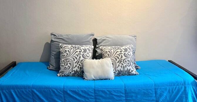 Admite Mascotas Guardaequipaje Calefaccion Alquiler Departamento Loft Quinta Seccion En Ciudad De Mendoza Mendoza Argentina