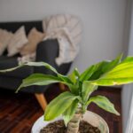 Alojamiento vino champan tours y actividades organizados empresas departamento argentina