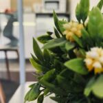 Alquiler Departamento 20 Montevideo Moderno