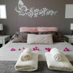 Alquiler Departamento Petit  Rivadavia