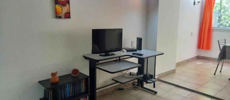 Buscan Explorar La Ciudad Y Disfrutar De Todas Alquiler Departamento Loft Ubicacion Perfecta En Ciudad De Mendoza Mendoza Argentina