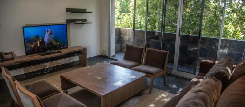 Como Anfitriona Y Servicios Que Van Mas Alla Alquiler Departamento La Sofia Apart Wines En Ciudad De Mendoza Mendoza Argentina