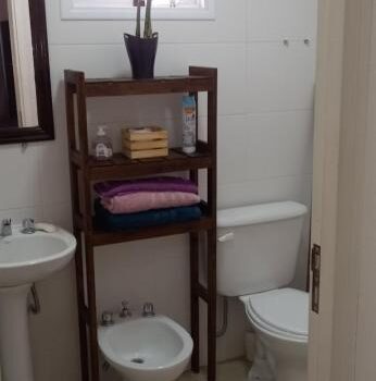 Cultura Y La Belleza De Mendoza El Hermoso Alquiler Departamento Hermoso Y Comodo 429 Lavalle En Ciudad De Mendoza Mendoza Argentina