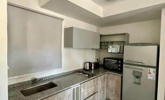 Descubre Mendoza Desde La Comodidad Y La Elegancia Alquiler Departamento 350 Aristobulo Del Valle En Zona Residencial En Ciudad De Mendoza Mendoza Argentina