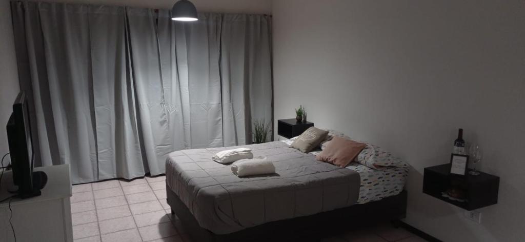 Estadia En El Loft En La Ciudad De Alquiler Departamento Loft 295 Beltran En Ciudad De Mendoza Mendoza Argentina