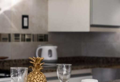 Garantizan Tu Privacidad Y El Personal Atento Esta Alquiler Departamento Premium Gold En Ciudad De Mendoza Mendoza Argentina