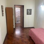 Aquellos que viajan sus companeros peludos departamento argentina