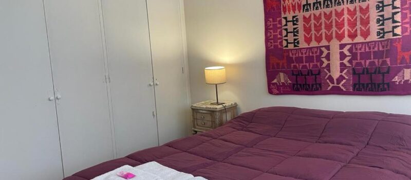 Sumergete En La Vibrante Vida De Mendoza Alojandote Alquiler Departamento 1160 9 De Julio Peatonal En Ciudad De Mendoza Mendoza Argentina