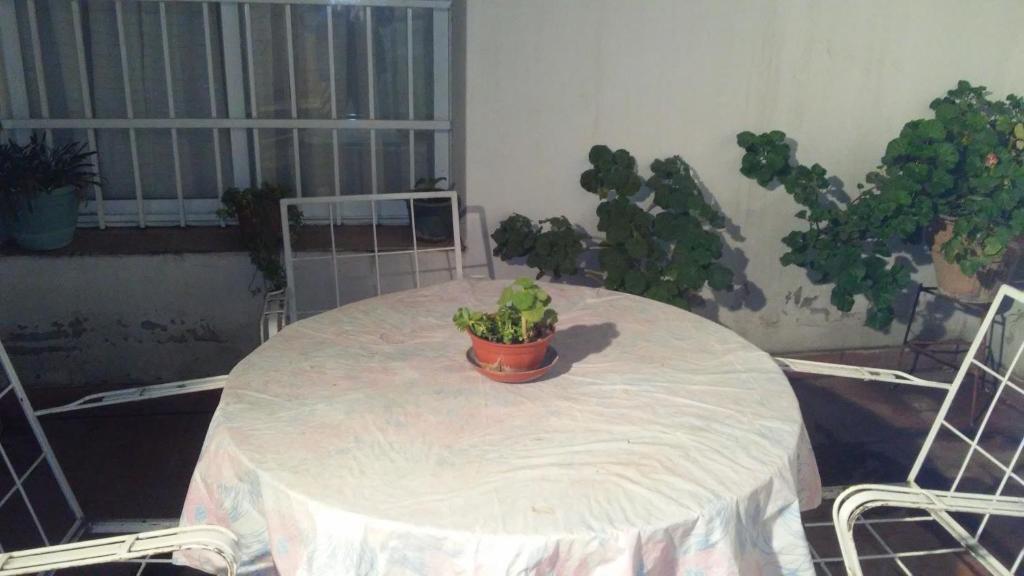 Tranquilo Atencion Amable De Los Propietarios Alquiler Casa Grali En Ciudad De Mendoza Mendoza Argentina